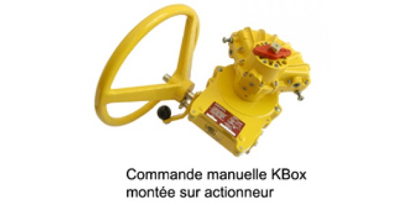 Commande manuelle par réducteur