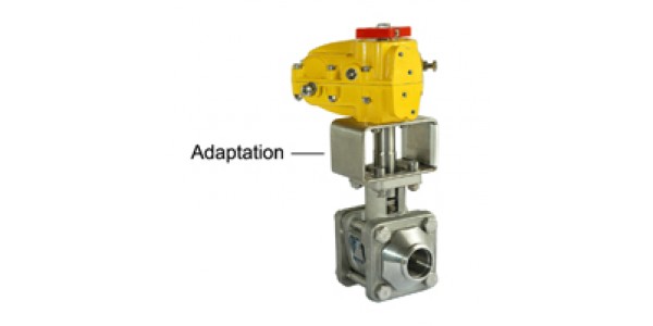 Adaptation