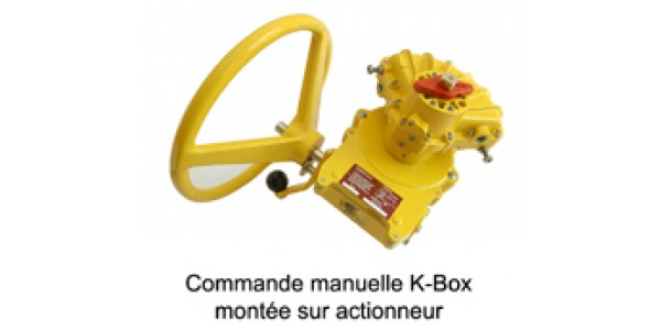 Commande de secours