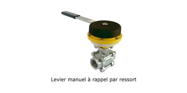 Sélection commande manuelle avec ressort de rappel